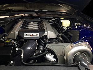 Procharger Supercharger Stage II Intercooled P-1SC-1 Complete Kit (Ford Mustang Shelby GT350 5.2L 15-20) 