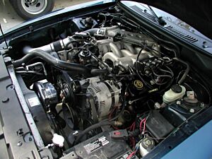 Procharger HO Intercooled P-1SC (Mustang V6 99-03)
