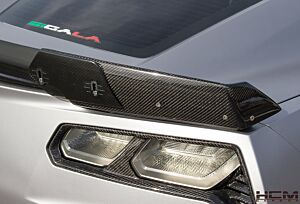 Sigal Designs Z06 Style Carbon Fiber Winglets (2014+ Corvette)