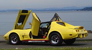Vertical Doors Bolt on Lambo Door Kit (C3 Corvette 1968-1982)