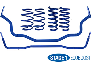 Steeda Stage 1 Handling Package - Linear EcoBoost (Mustang 15-22)