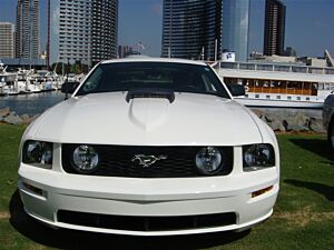 Trufiber 2005-2009 Mustang Fiberglass A41 Hood (V6/GT)