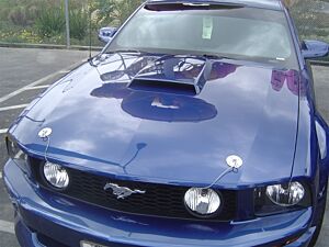 Trufiber  2005-2009 Mustang Fiberglass A51 Hood (V6/GT)